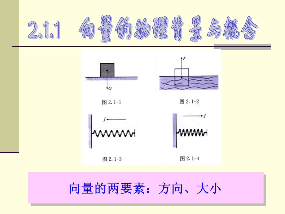 2.1.1平面向量基本概念.ppt_第2页