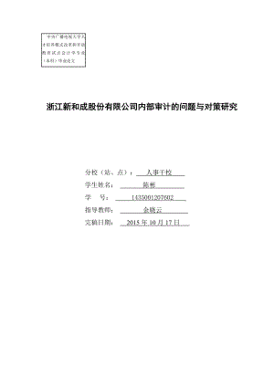 浙江新和成股份有限公司内部审计的问题与对策研究.doc