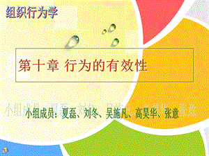 组织行为学第10章行为的有效性.ppt