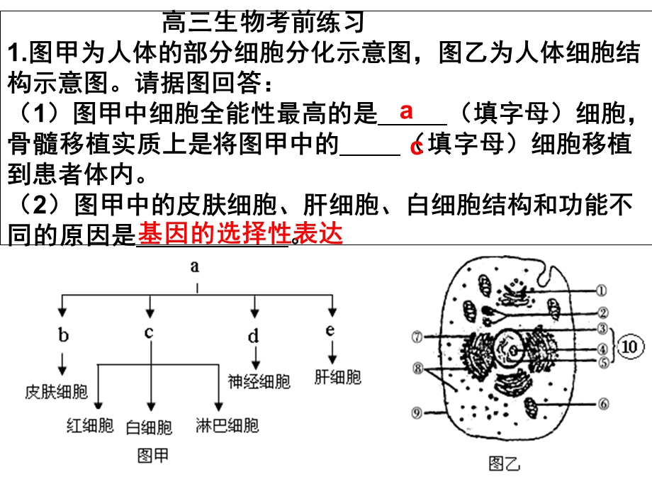 高三生物考前练习.ppt_第1页