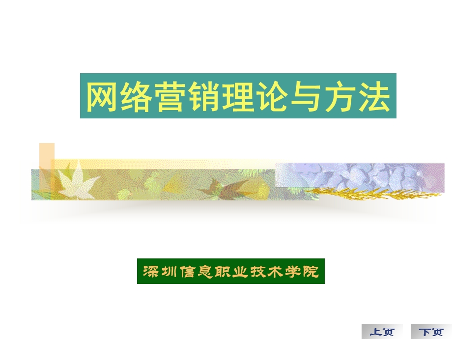 网络营销理论与方法.ppt_第1页