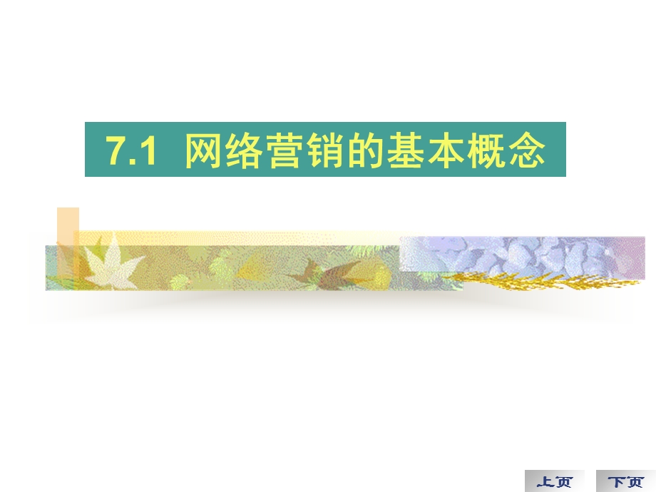 网络营销理论与方法.ppt_第3页