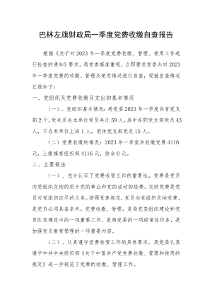 巴林左旗财政局党费收缴自查报告.docx