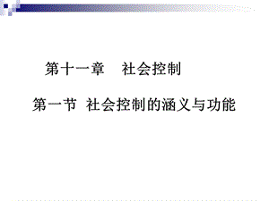 社会学通论论(教学11章).ppt