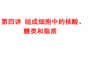 第四讲细胞中的核酸、糖类和脂质.ppt