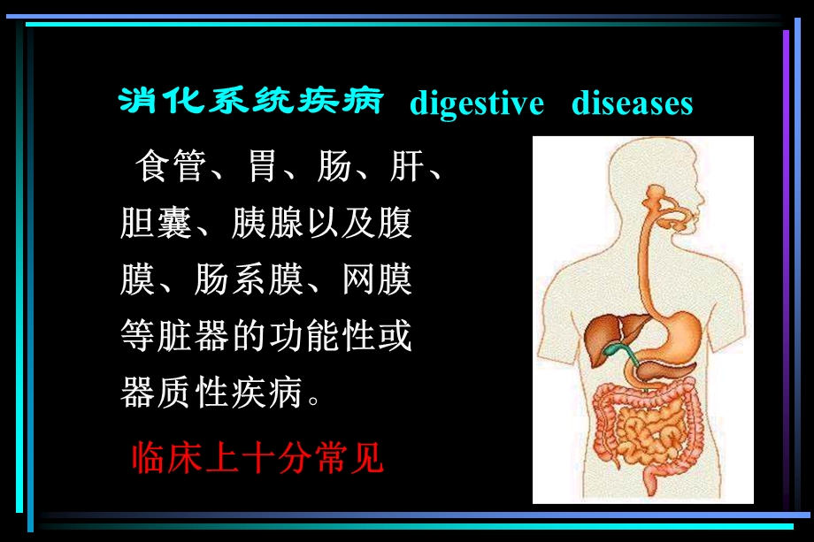 肝脏疾病与胃肠动力障碍.ppt_第2页