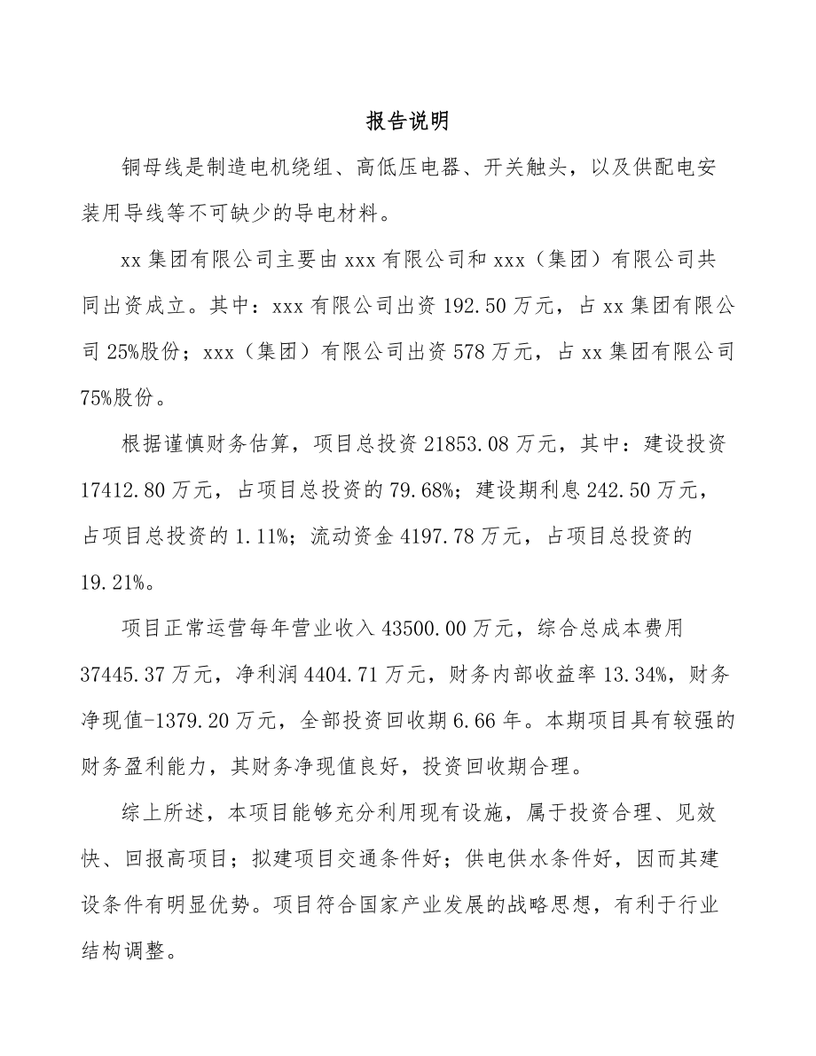 太原关于成立铜母线公司可行性研究报告范文参考.docx_第2页