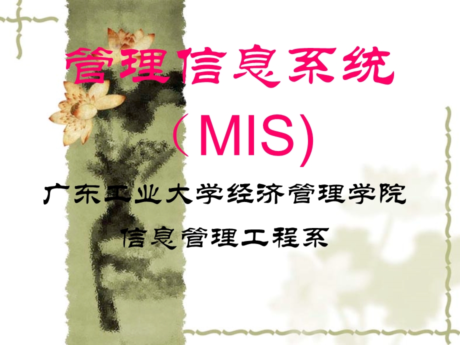 管理信息系统(MIS).ppt_第1页