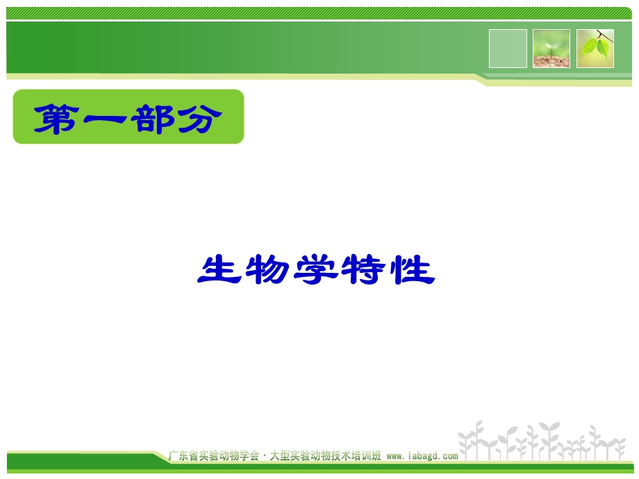 《实验动物与管理教学课件》实验猴生物学特性及应用.ppt_第3页