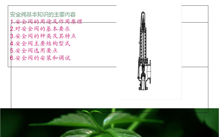 反应釜中的安全阀与爆破.ppt_第2页