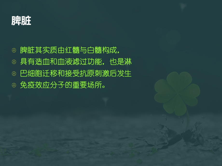 脾破裂的治疗和护理.ppt_第3页