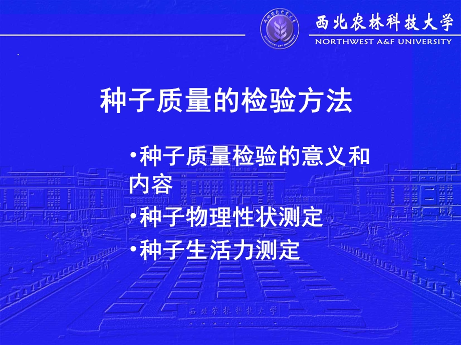 种子质量的检验方法.ppt_第1页