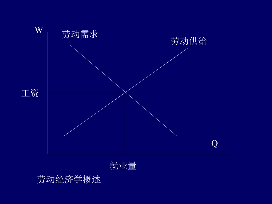 人力资源管理之劳动经济学.ppt_第2页