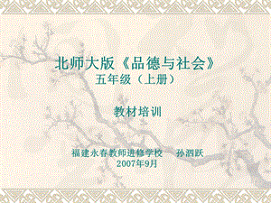 北师大版品德与社会.ppt