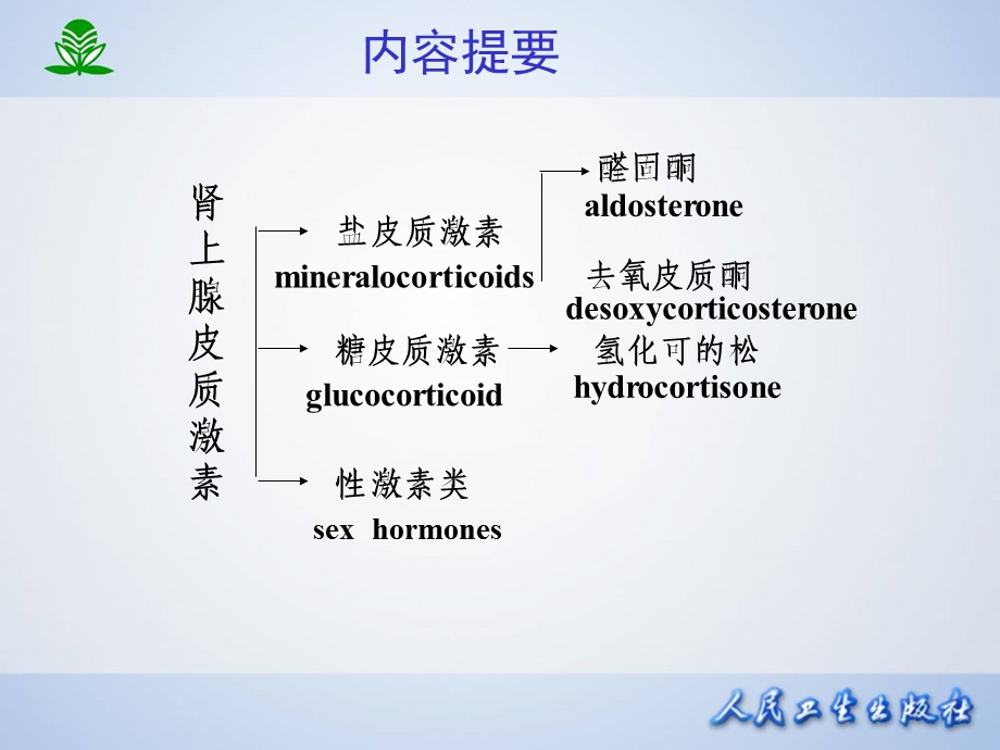 肾上腺皮质激素类药.ppt_第2页