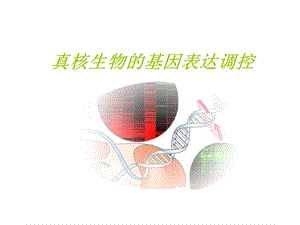 真核生物的基因表达调控.ppt