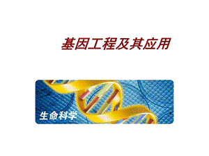 高一生物基因工程及其应用.ppt