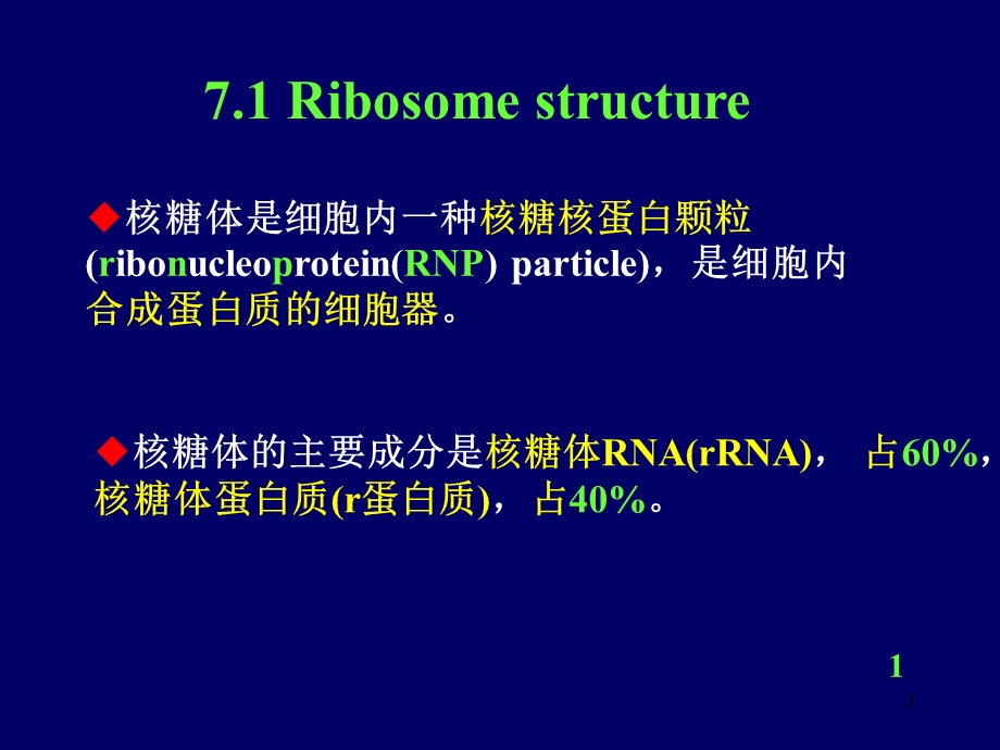 细胞学第7讲-核糖体和核酶.ppt_第3页