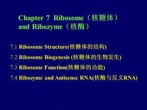 细胞学第7讲-核糖体和核酶.ppt