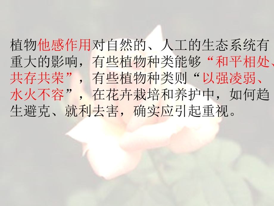 花卉的相生相克.ppt_第2页