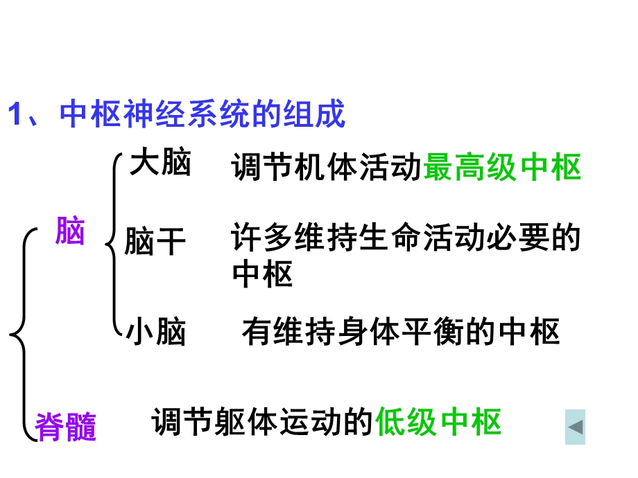 神经系统的分级调节.ppt_第3页