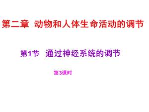 神经系统的分级调节.ppt