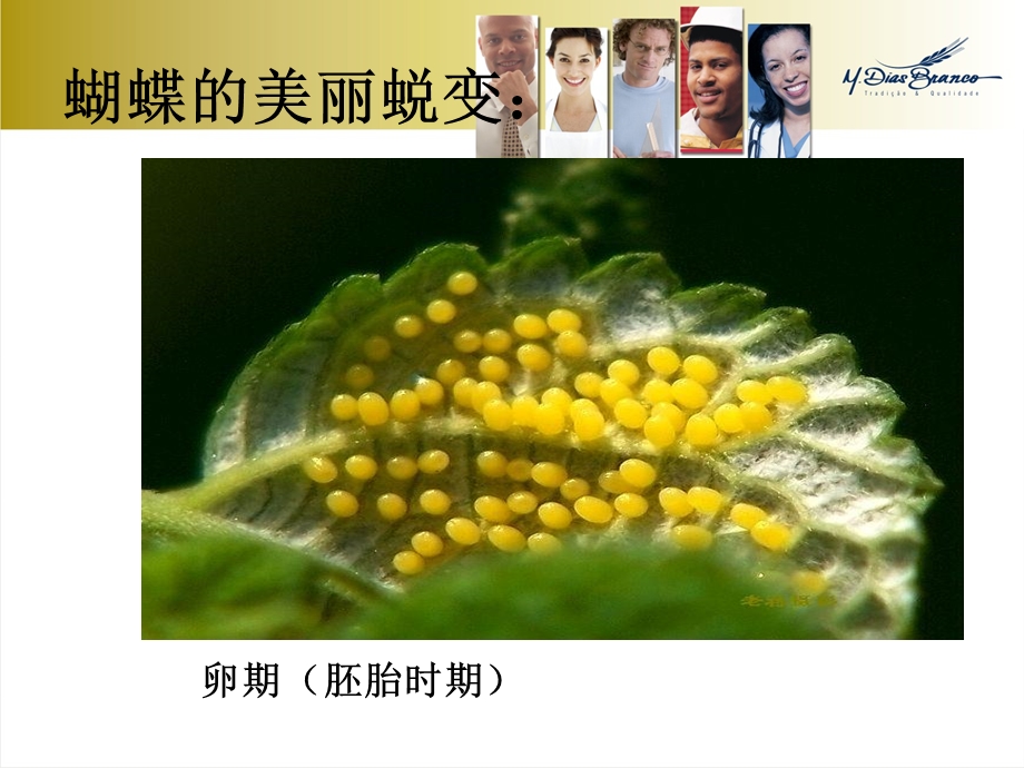 走进青期实践课件.ppt_第1页