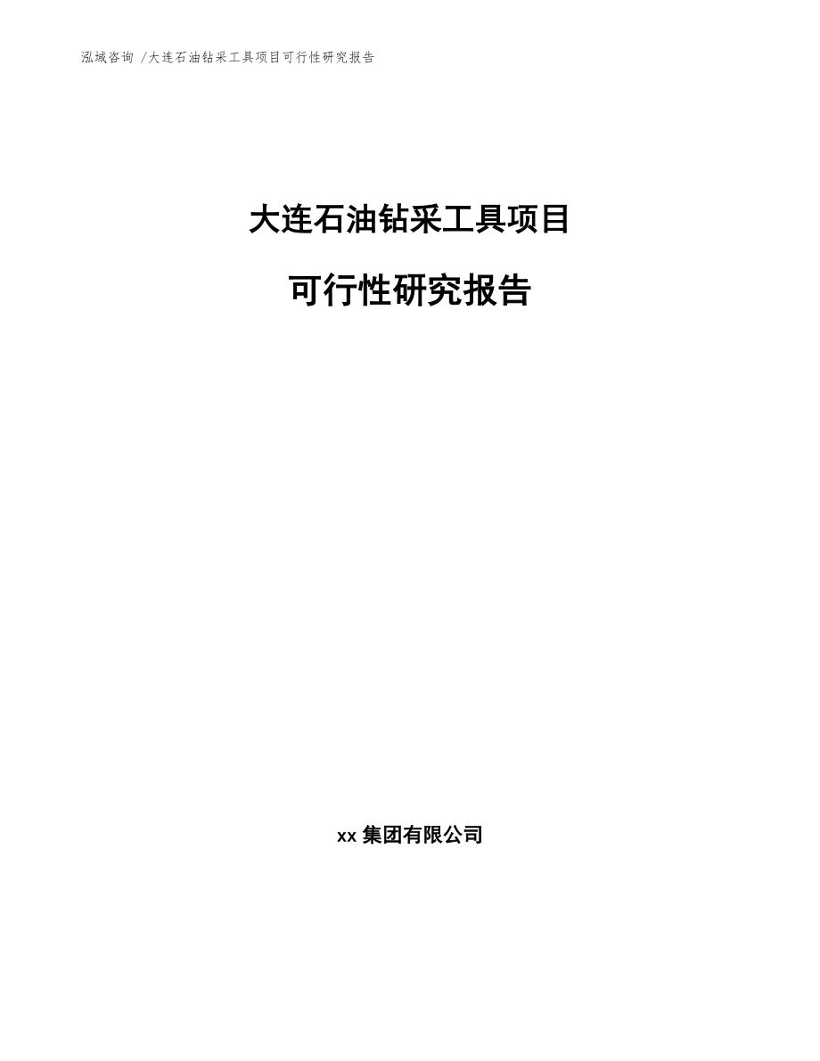 大连石油钻采工具项目可行性研究报告模板范文.docx_第1页