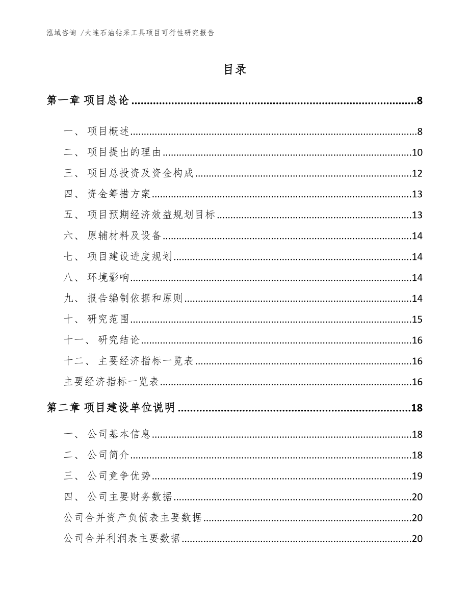 大连石油钻采工具项目可行性研究报告模板范文.docx_第2页