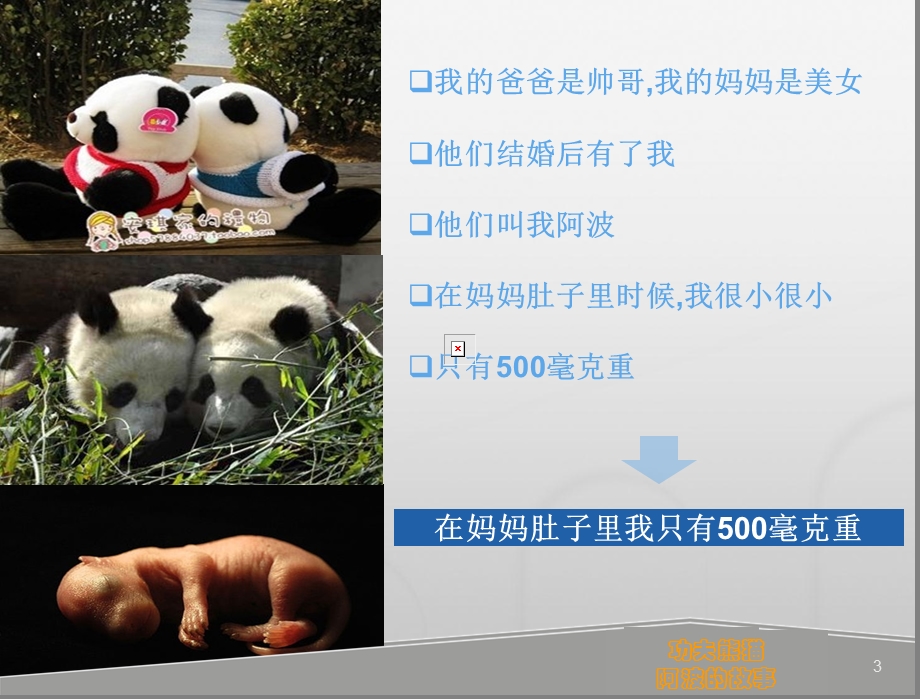 功夫熊猫的故事陶恩琪.ppt_第3页