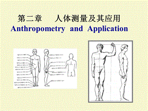 人体测量及其应用.ppt