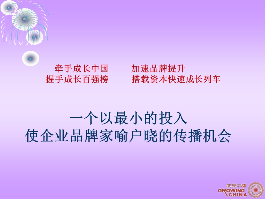 中国成长百强介绍.ppt_第3页