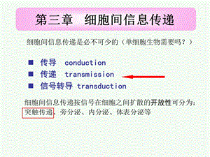 细胞间信息传递.ppt