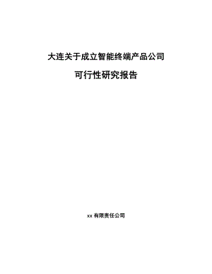 大连关于成立智能终端产品公司可行性研究报告.docx