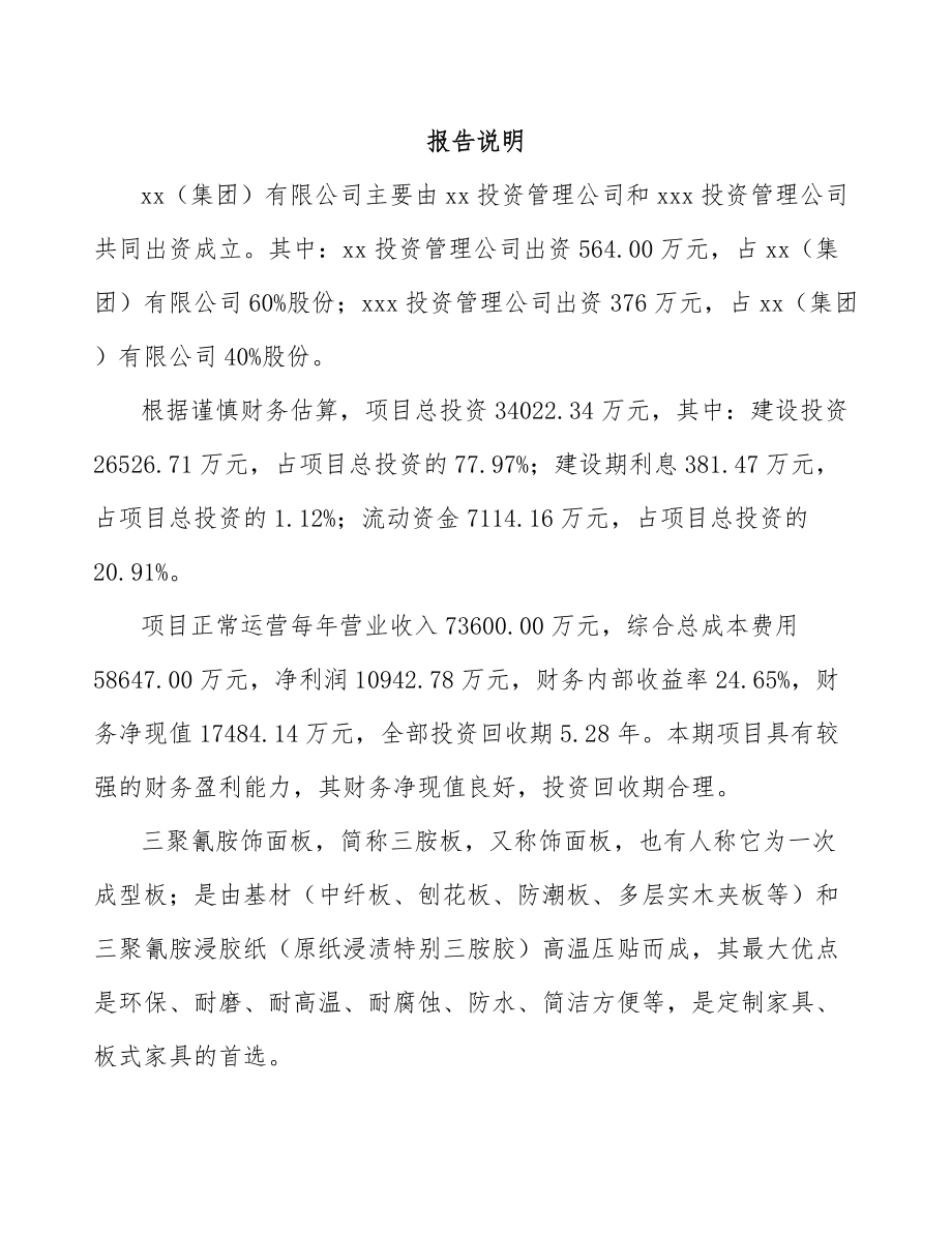 大连关于成立三聚氰胺饰面板公司可行性研究报告模板参考.docx_第2页