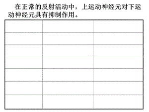 神经解剖学06运动传导通路.ppt