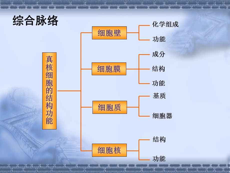 高三生物复习-细胞的结构和功能.ppt_第3页