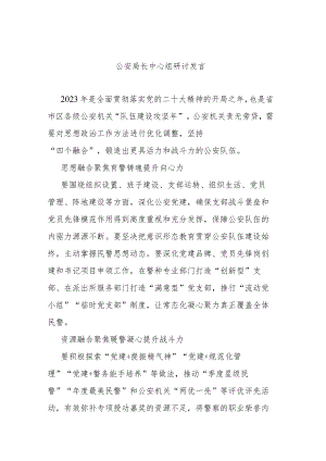 公安局长中心组研讨发言.docx