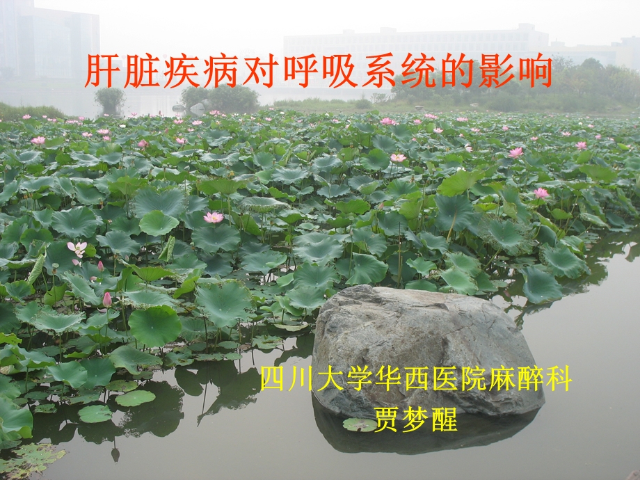 肝脏疾病对呼吸系统的影响.ppt_第1页