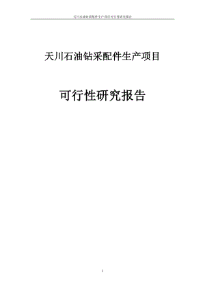 天川石油钻采配件生产项目可行性研究报告.doc