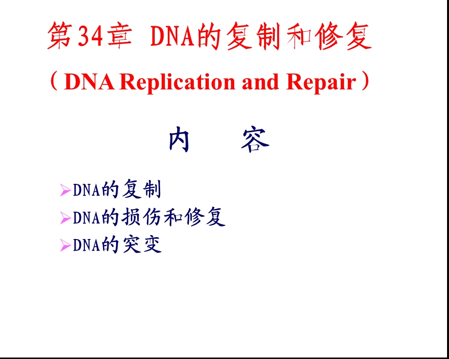 章DNA的复制和修复07.ppt_第1页