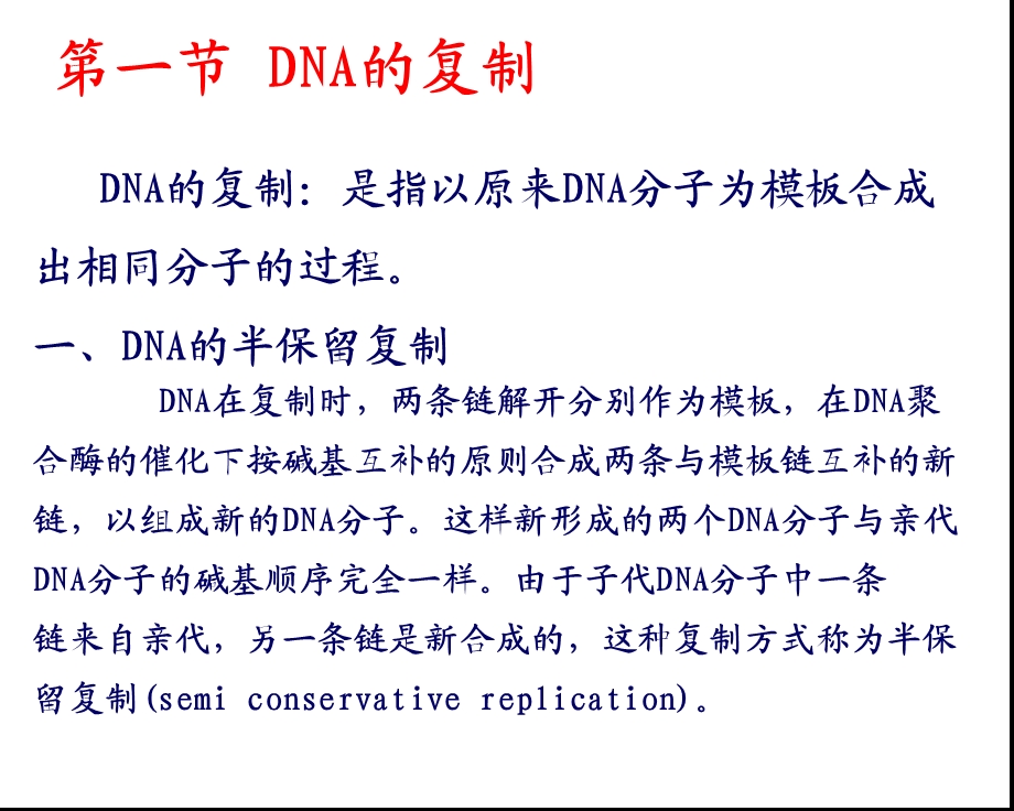 章DNA的复制和修复07.ppt_第3页