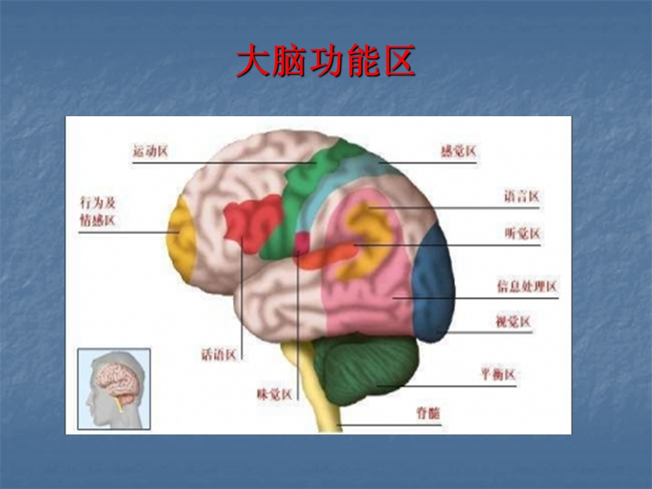 大学生心理健康问题、原因.ppt_第3页