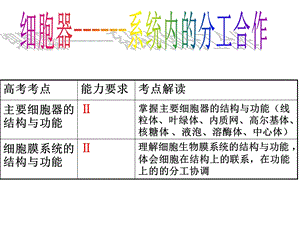 高一生物第三章第二讲细胞器-系统内的分工合作.ppt