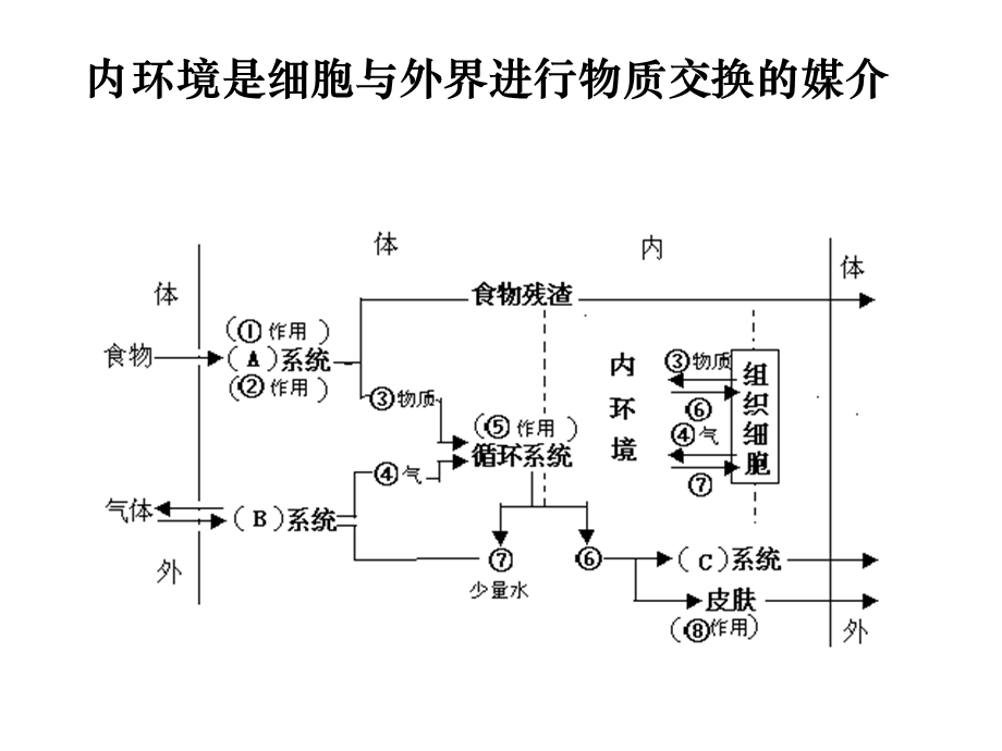 稳态与环境内环境稳态的重要性.ppt_第3页