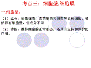 细胞壁和细胞膜高三生物一轮复习.ppt