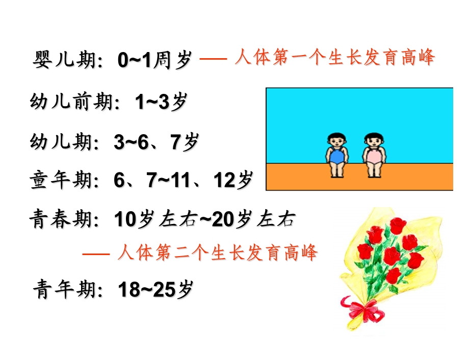 青春期生理与心理特点.ppt_第3页