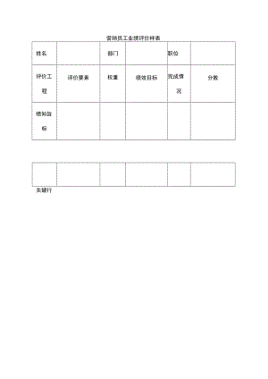 营销员工业绩评价样表.docx