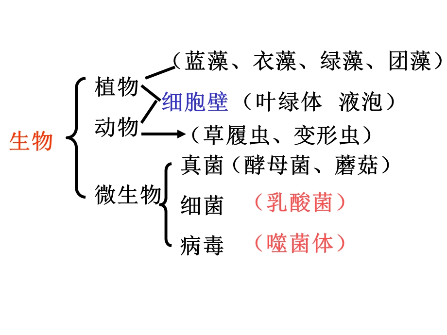 人教版教学课件必修一第一二章复习训练上学期.ppt_第1页