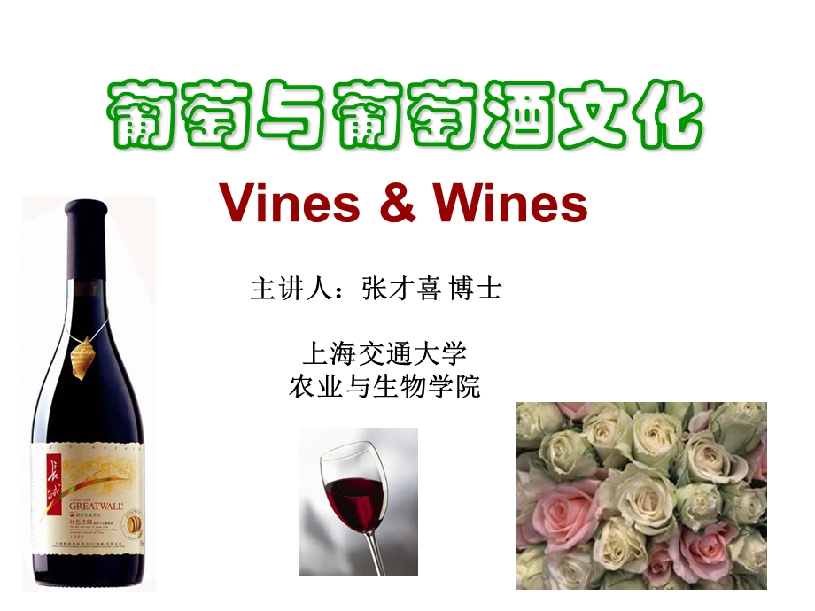 葡萄与葡萄酒文化0228.ppt_第1页